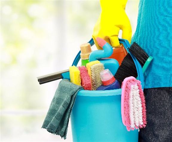 Bin Cleaning Business
